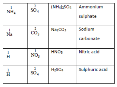 Class 7 Science The Language of Chemistry Exam Notes