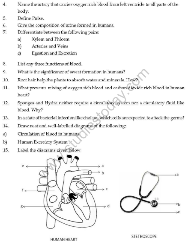 Class 7 Transportation in Animals and Plants Important Questions