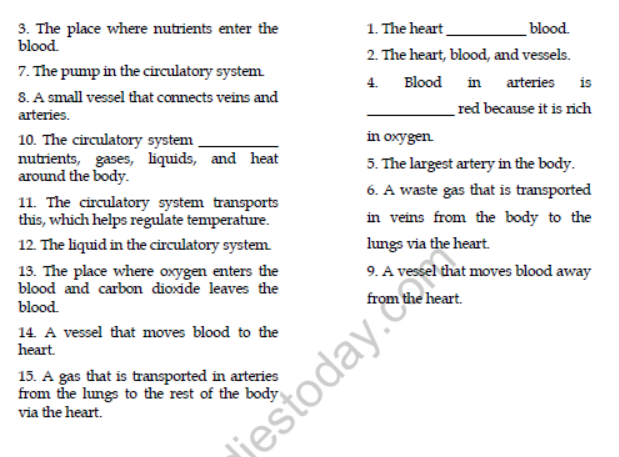 Class 7 Transportation in Animals and Plants Important Questions