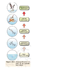 Domestic sewage and industrial effluents_2