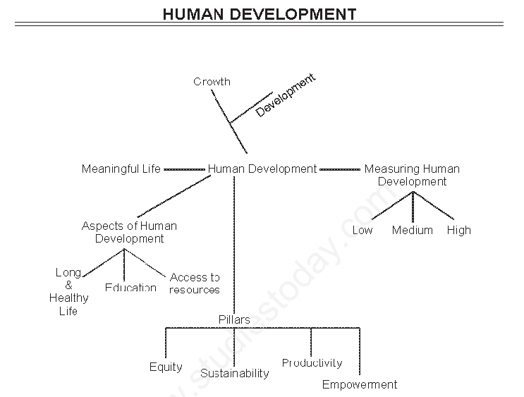 Human Development