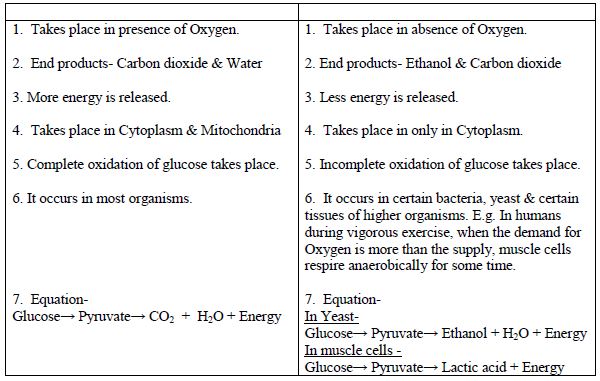 Life Processes Concepts