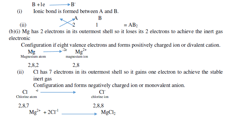 Metals and Non metals_4