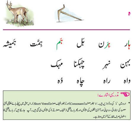 NCERT Class 1 Urdu Ibtedai Chapter 17