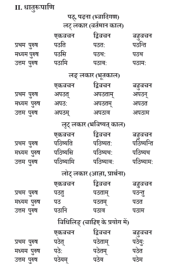 NCERT Class 10 Sanskrit Vyakaranavithi Chapter 14 Dhaturupani