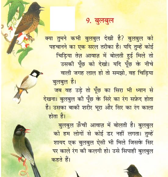 NCERT Class 2 Hindi Rimjhim Chapter 9 Bulbul