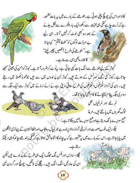 NCERT Class 4 Urdu Chapter 3