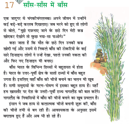 NCERT Class 6 Hindi Vasant Chapter 17 Sans Sans ki Baat