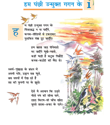 NCERT Class 7 Hindi Vasant Chapter 1 Hum Panchi Unmukt Gagan ke