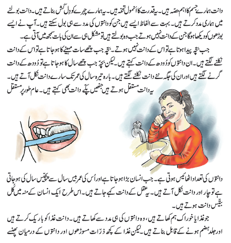 NCERT Class 3 Urdu Ibtedai Chapter 11
