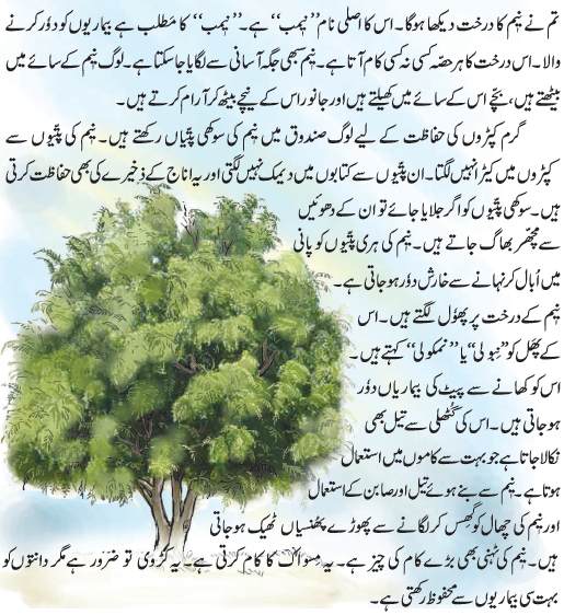 NCERT Class 3 Urdu Ibtedai Chapter 9