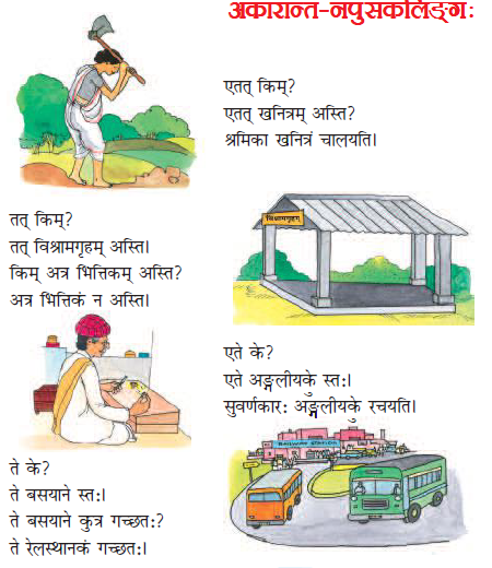 NCERT Class 6 Sanskrit Ruchira Chapter 3 Akarant Napunsanklingdam