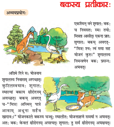 NCERT Class 6 Sanskrit Ruchira Chapter 7 Baksay Pratikar