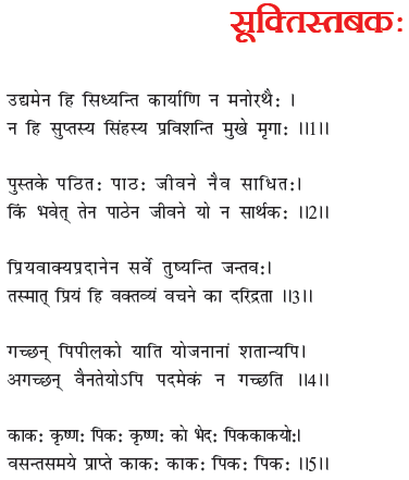 NCERT Class 6 Sanskrit Ruchira Chapter 8 Sukitsatkab