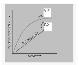 Pattern of Biodiversity