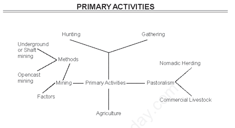 Primary Activities