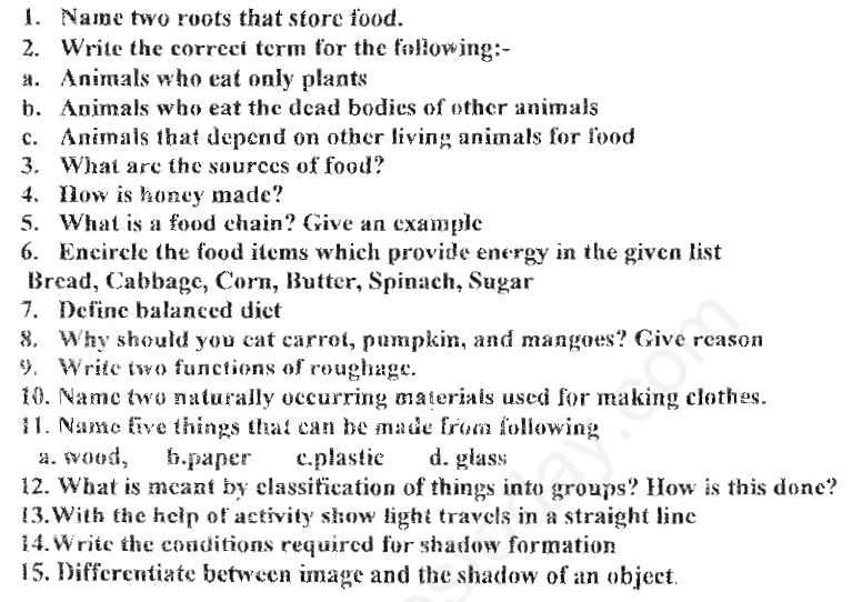 Revision Worksheet Class 6 Science