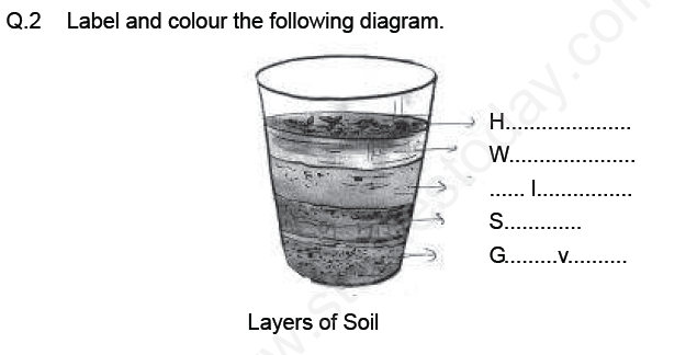 Soil