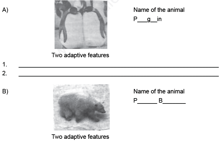 CBSE Class 7 Science Weather climate and Adaptation of animals to climate  Assignment