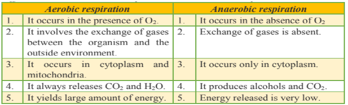 10th.sci.eng.july.aug 20