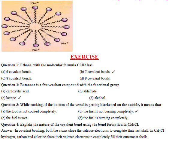 10th.sci.eng.july.aug 9