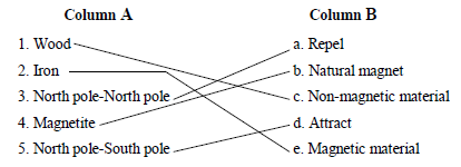 6th.sci.eng.Ch12.13 5