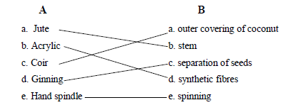 6th.sci.eng.Ch3.6.10 1