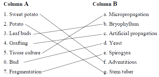 7th.sci.eng.Ch.12 1