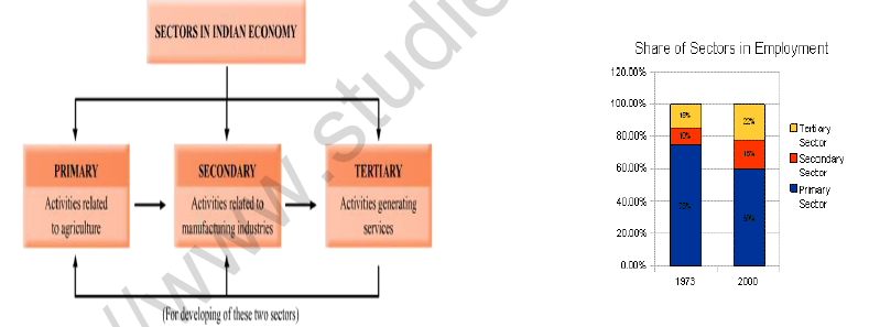 CBSE Class 10 Economics Sector of Indian Economy Worksheet Set B