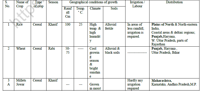 CBSE Class 10 Geography Agriculture Worksheet 3