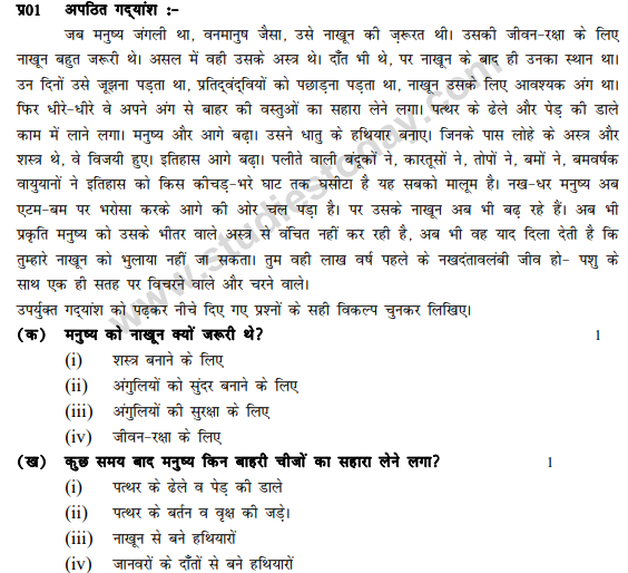 CBSE Class 10 Hindi B Sample Paper 2012 Solved Set B