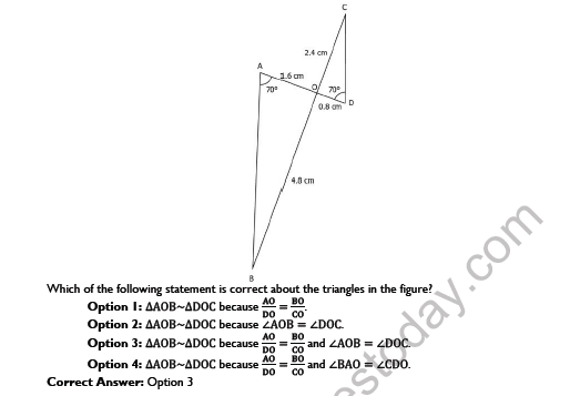 CBSE Class 10 Mathematics Triangles Worksheet Set E 3