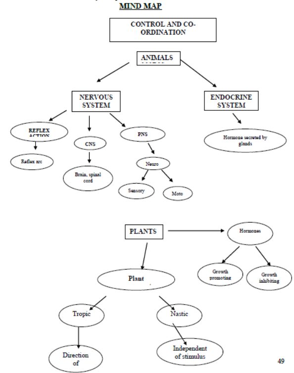 CBSE Class 10 Science Control And Coordination Notes Set F