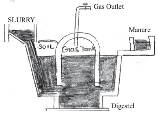 CBSE Class 10 Science Sources Of Energy Notes Set E