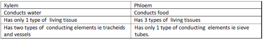 CBSE Class 10 Science Transportation In Plants And Animals Notes