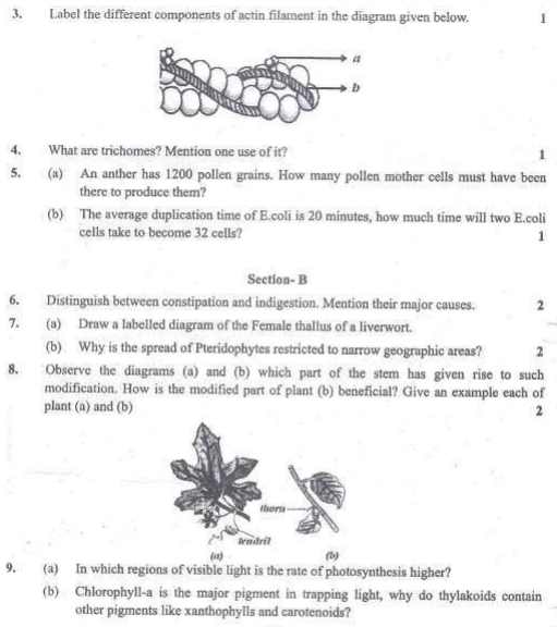 CBSE Class 11 Biology Sample Paper Set 3