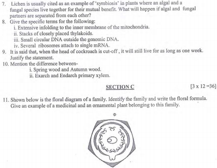 CBSE Class 11 Biology Sample Paper Set 4