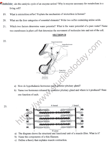 CBSE Class 11 Biology Sample Paper Set E Solved 4