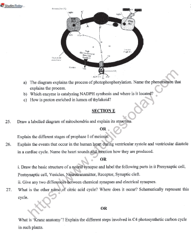 CBSE Class 11 Biology Sample Paper Set E Solved 5