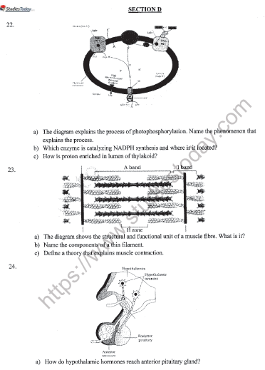 CBSE Class 11 Biology Sample Paper Set J Solved 4