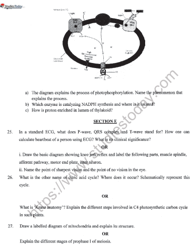 CBSE Class 11 Biology Sample Paper Set K Solved 5