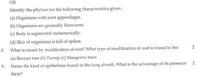 CBSE Class 11 Biology Sample Paper Set L