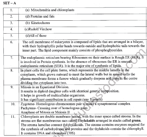 CBSE Class 11 Biology Worksheet Set N Solved 2