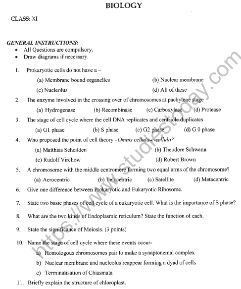 CBSE Class 11 Biology Worksheet Set P Solved 1