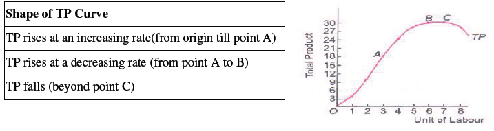 CBSE Class 11 Economics Production Function Worksheet 1