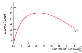 CBSE Class 11 Economics Production Function Worksheet 2