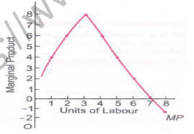 CBSE Class 11 Economics Production Function Worksheet 3