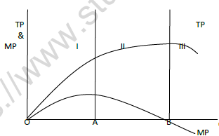 CBSE Class 11 Economics Worksheet Set G Solved 5