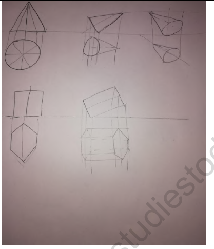 CBSE Class 11 Engineering Graphics Worksheet Set D Solved