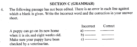 CBSE Class 11 English Worksheet Set H Solved 2